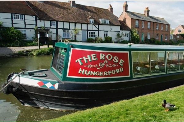 Rose of Hungerford